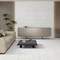 Profesyonel Uygulama ve Teknik Destek